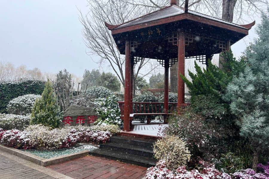 园区景观图